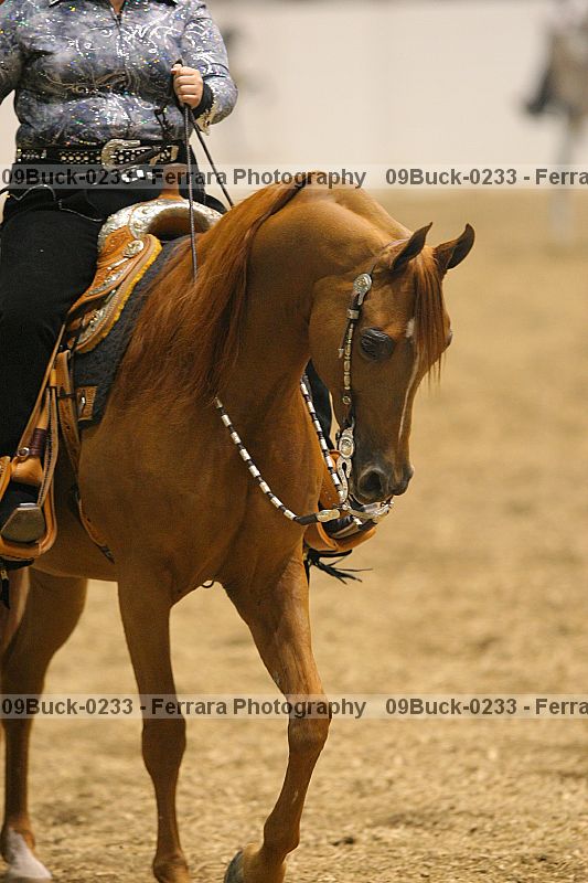 Proof 09buck-0233