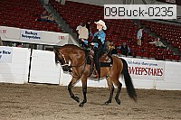 09buck-0235 proof