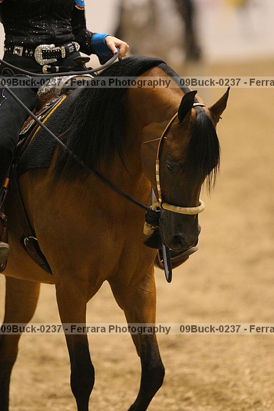 Proof 09buck-0237