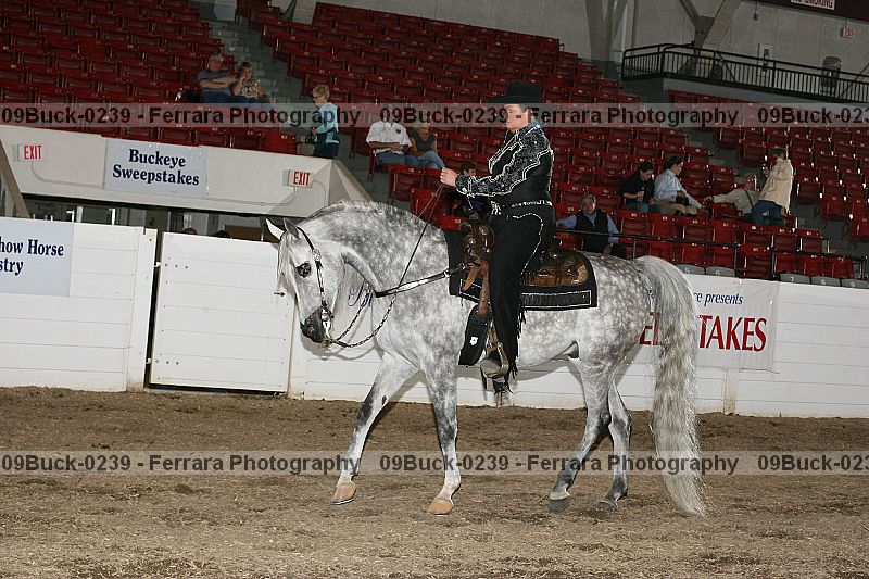 Proof 09buck-0239