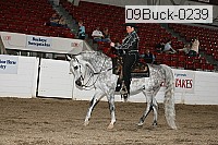 09buck-0239 proof