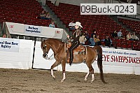 09buck-0243 proof