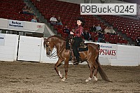 09buck-0245 proof