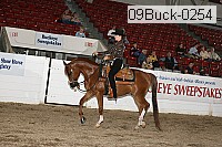 09buck-0254 proof