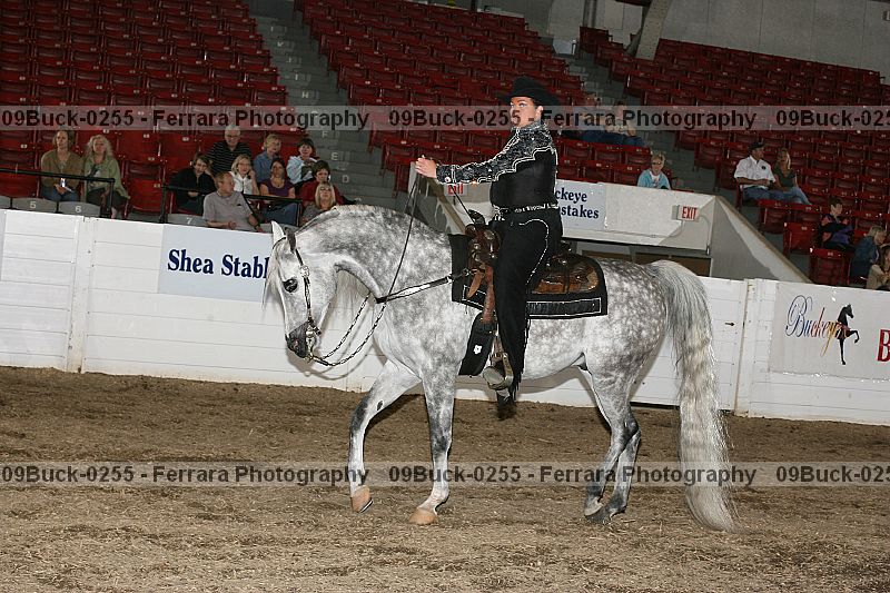 Proof 09buck-0255