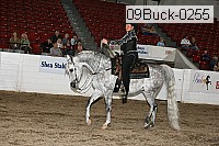 09buck-0255 proof