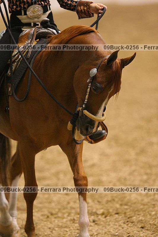 Proof 09buck-0256