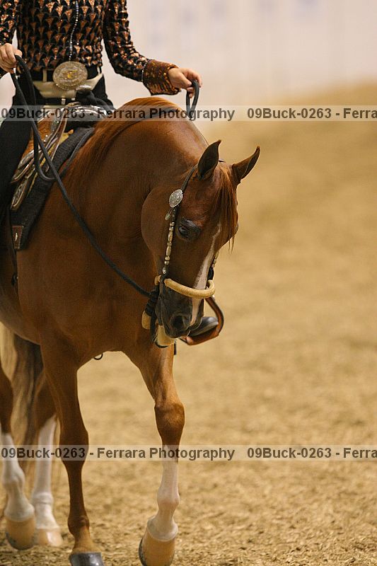 Proof 09buck-0263