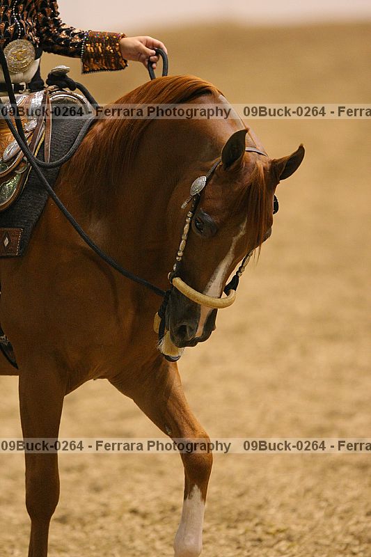 Proof 09buck-0264