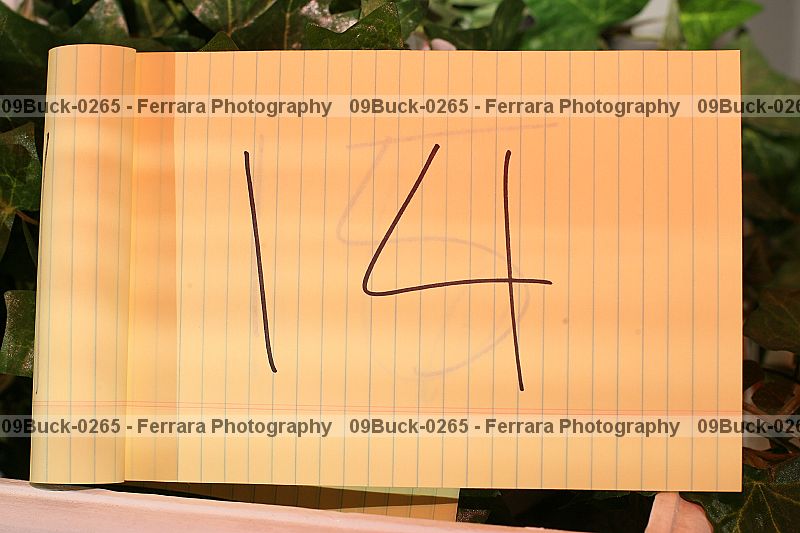 Proof 09buck-0265