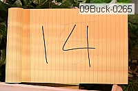 09buck-0265 proof