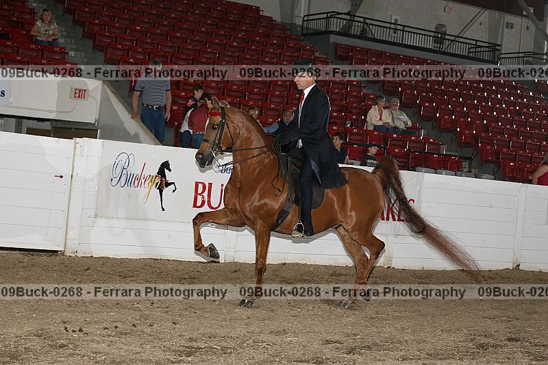 Proof 09buck-0268