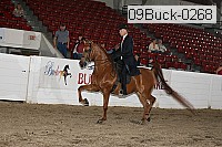 09buck-0268 proof