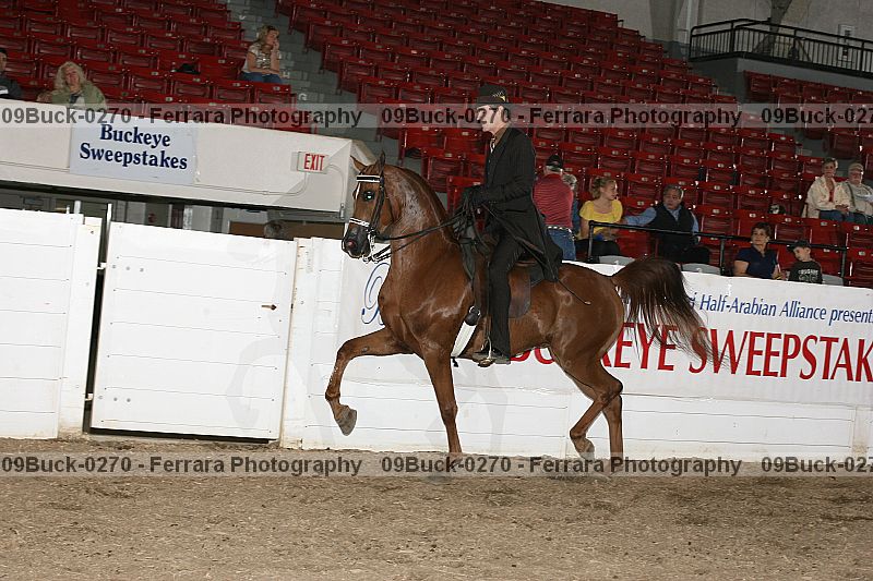 Proof 09buck-0270
