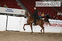 09buck-0270 proof