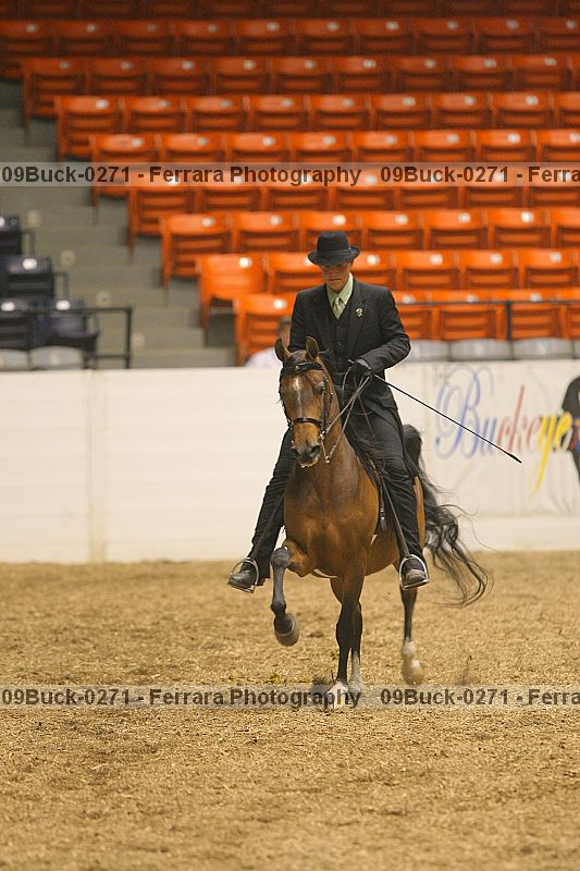 Proof 09buck-0271