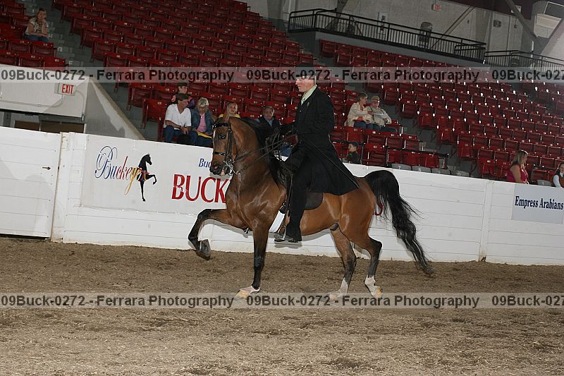 Proof 09buck-0272