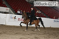 09buck-0272 proof