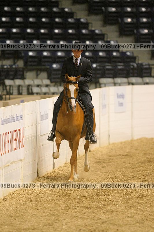 Proof 09buck-0273