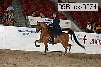 09buck-0274 proof