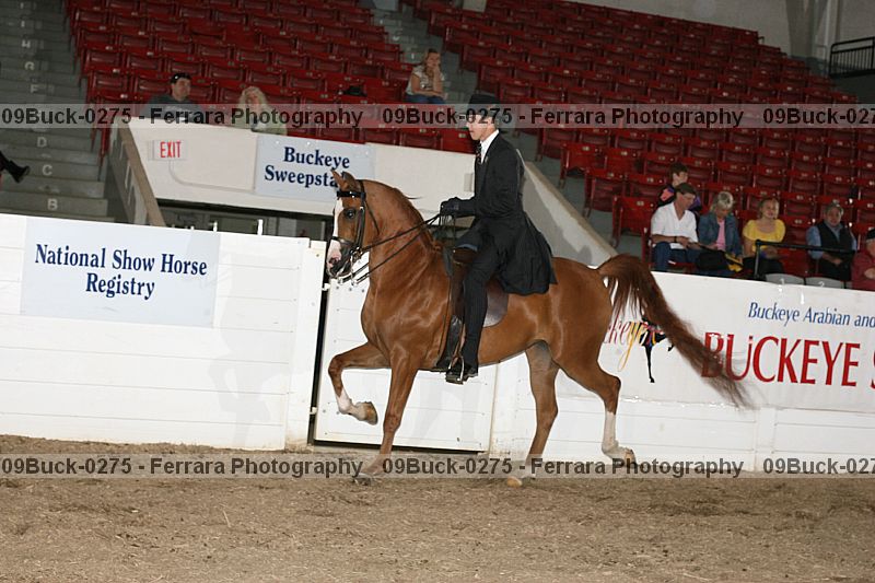 Proof 09buck-0275