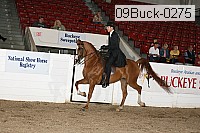 09buck-0275 proof