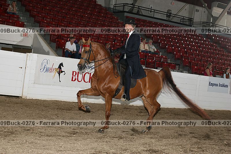 Proof 09buck-0276