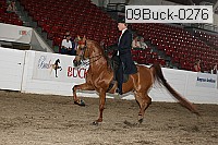 09buck-0276 proof