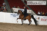 09buck-0277 proof