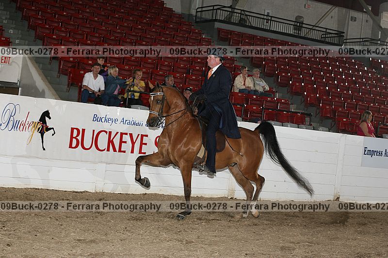 Proof 09buck-0278