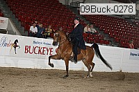 09buck-0278 proof