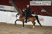 09buck-0279 proof