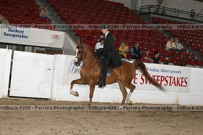 Proof 09buck-0280