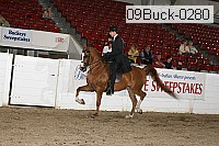 09buck-0280 proof