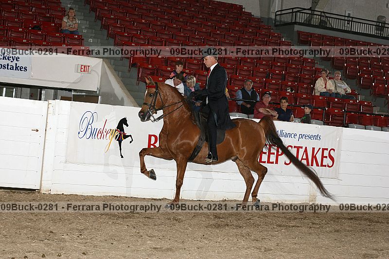 Proof 09buck-0281