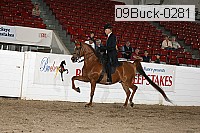 09buck-0281 proof