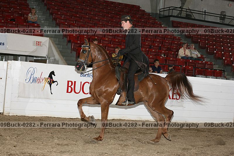 Proof 09buck-0282