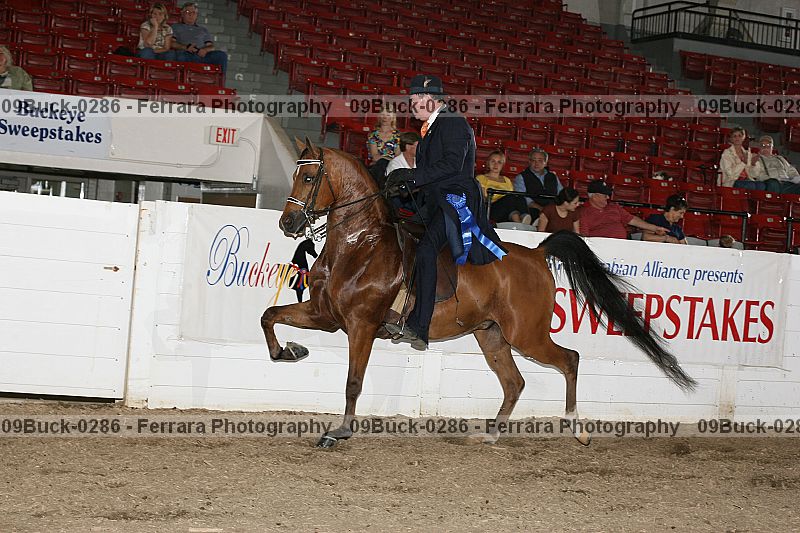Proof 09buck-0286