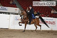 09buck-0286 proof