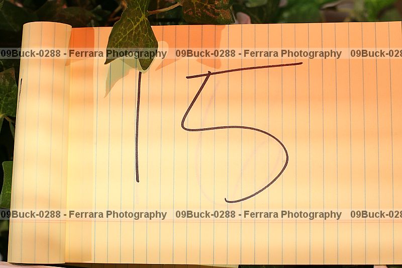 Proof 09buck-0288