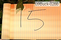 09buck-0288 proof