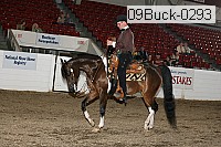 09buck-0293 proof
