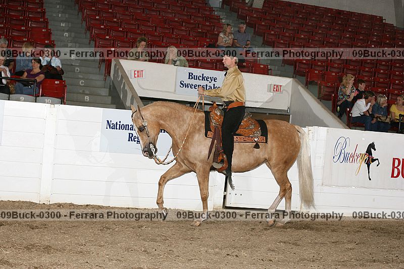 Proof 09buck-0300