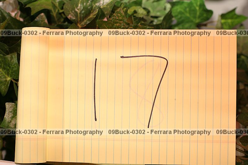 Proof 09buck-0302