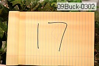 09buck-0302 proof