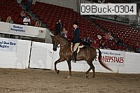 09buck-0304 proof
