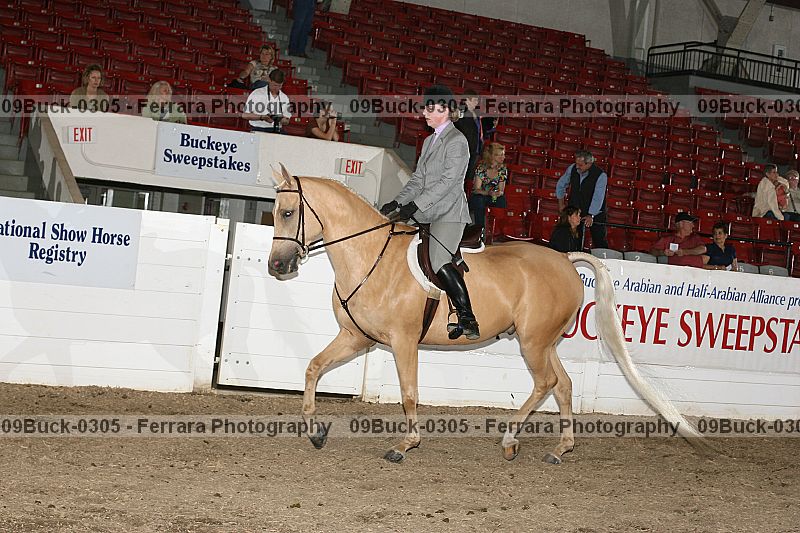 Proof 09buck-0305