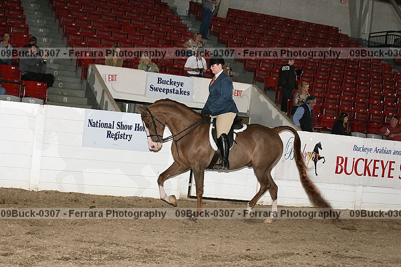 Proof 09buck-0307