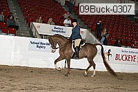 09buck-0307 proof
