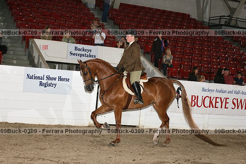 Proof 09buck-0309